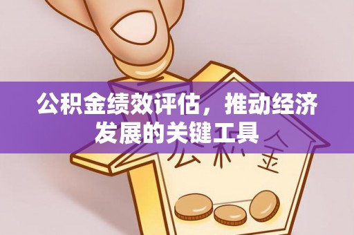 复兴公积金绩效评估，推动经济发展的关键工具