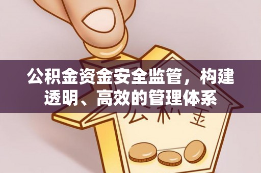 复兴公积金资金安全监管，构建透明、高效的管理体系
