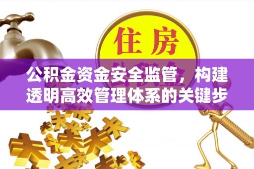 复兴公积金资金安全监管，构建透明高效管理体系的关键步骤