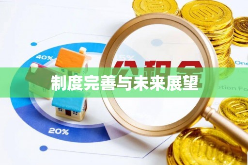 复兴制度完善与未来展望