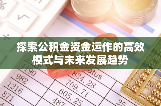 复兴探索公积金资金运作的高效模式与未来发展趋势