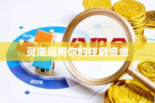 复兴灵活运用你的住房资金