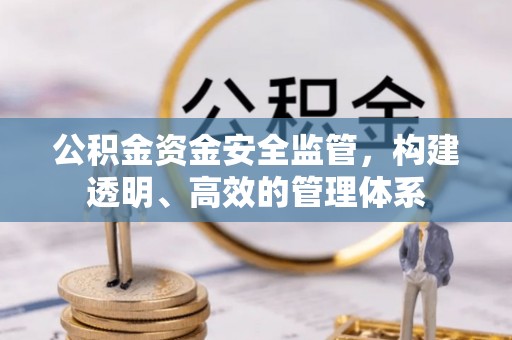 复兴公积金资金安全监管，构建透明、高效的管理体系