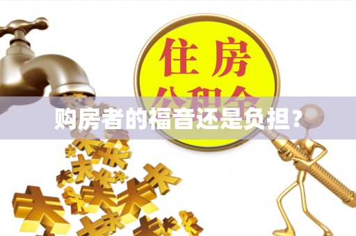 复兴购房者的福音还是负担？