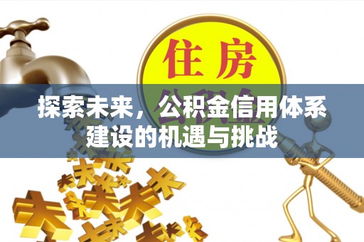 复兴探索未来，公积金信用体系建设的机遇与挑战