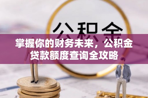 复兴掌握你的财务未来，公积金贷款额度查询全攻略